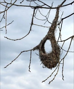 ˲ÒÔÎÐÓÌ ÆÎÂÒÍÅÂÈÉ