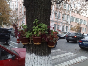 Íàö³îíàëüíà áåçïåêà: óêðà¿íñüêèé ïîãëÿä